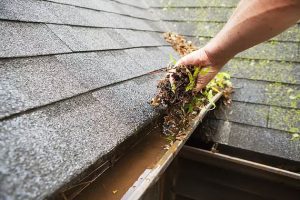 Professional gutter cleaning services for roof gutters"