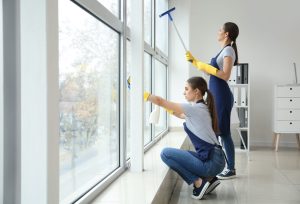 Professional window cleaning services for spotless windows