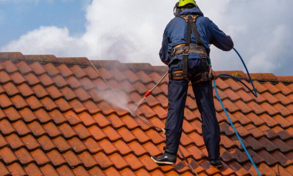 pros-cons-professional-roof-cleaning